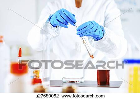 Quality control of pudding View Large Photo Image Stock Image - Quality control of pudding. Fotosearch