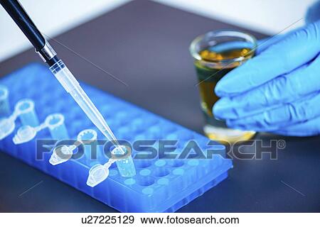 Quality control of whiskey View Large Photo Image Stock Photo - Quality control of whiskey. Fotosearch