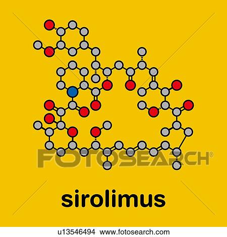 Rapamycin immunosuppressive drug, molecular model View Large Photo Image Picture - Rapamycin immunosuppressive drug, molecular model. Fotosearch