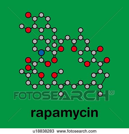 Rapamycin immunosuppressive drug, molecular model View Large Photo Image Stock Image - Rapamycin immunosuppressive drug, molecular model. Fotosearch
