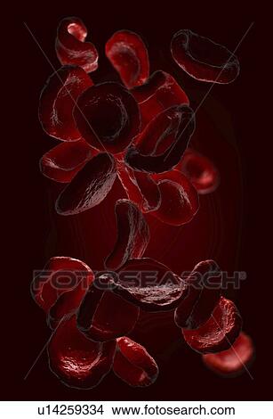 Red blood cells, illustration View Large Photo Image Picture - Red blood cells, illustration. Fotosearch