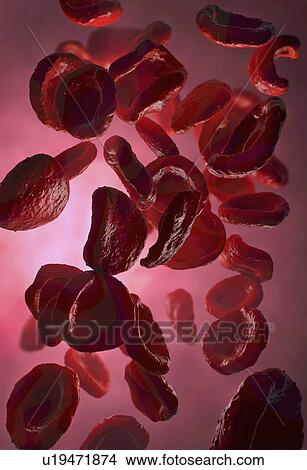 Red blood cells, illustration View Large Photo Image Picture - Red blood cells, illustration. Fotosearch