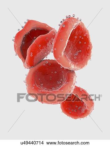 Picture - Red blood cells, illustration. Fotosearch