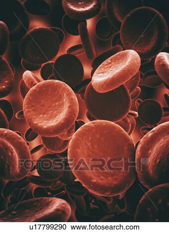 Stock Image - Red blood cells, illustration. Fotosearch