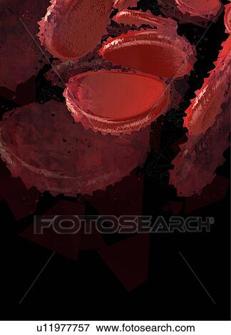 Red blood cells, illustration. View Large Photo Image Stock Photo - Red blood cells, illustration.. Fotosearch