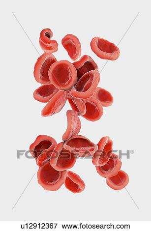 Stock Photo - Red blood cells, illustration. Fotosearch