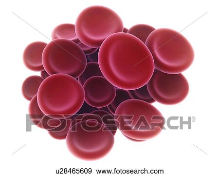 Red blood cells, illustration View Large Photo Image Stock Photo - Red blood cells, illustration. Fotosearch