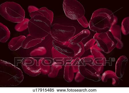 Red blood cells, illustration View Large Photo Image Stock Photography - Red blood cells, illustration. Fotosearch