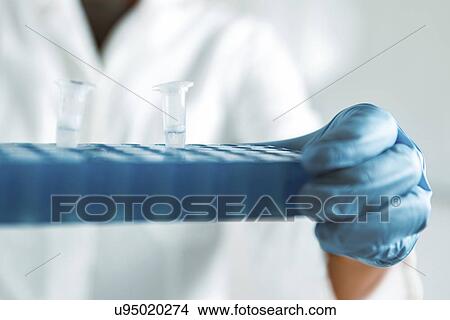 Picture - Researcher holding biological samples. Fotosearch