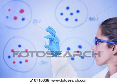 Researcher holding sample in lab View Large Photo Image Stock Photo - Researcher holding sample in lab. Fotosearch