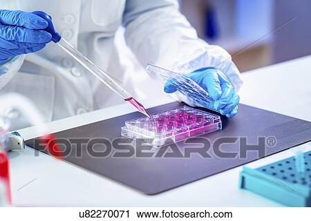 Researcher in laboratory View Large Photo Image Stock Image - Researcher in laboratory. Fotosearch