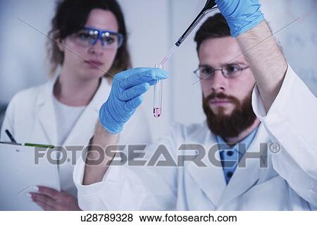 Researcher using micropipette View Large Photo Image Stock Photo - Researcher using micropipette. Fotosearch