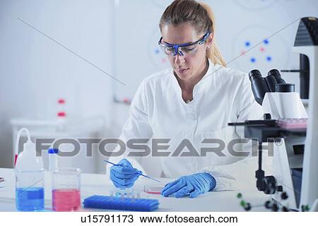 Researcher working in laboratory View Large Photo Image Stock Image - Researcher working in laboratory. Fotosearch