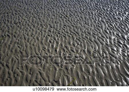 Ripples in sand View Large Photo Image Stock Photo - Ripples in sand. Fotosearch