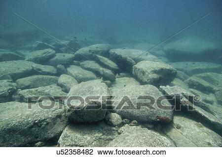 Rocky sea floor View Large Photo Image Stock Image - Rocky sea floor. Fotosearch