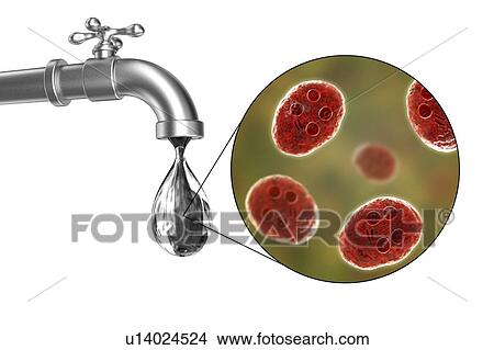 Safety of drinking water, conceptual illustration View Large Photo Image Picture - Safety of drinking water, conceptual illustration. Fotosearch
