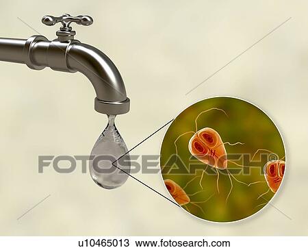 Safety of drinking water, conceptual illustration View Large Photo Image Stock Image - Safety of drinking water, conceptual illustration. Fotosearch