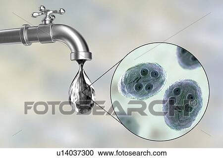 Stock Image - Safety of drinking water, conceptual illustration. Fotosearch