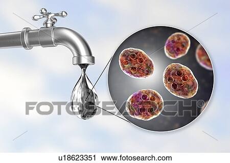 Stock Image - Safety of drinking water, conceptual illustration. Fotosearch