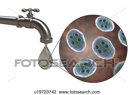 Safety of drinking water, conceptual illustration View Large Photo Image Stock Image - Safety of drinking water, conceptual illustration. Fotosearch