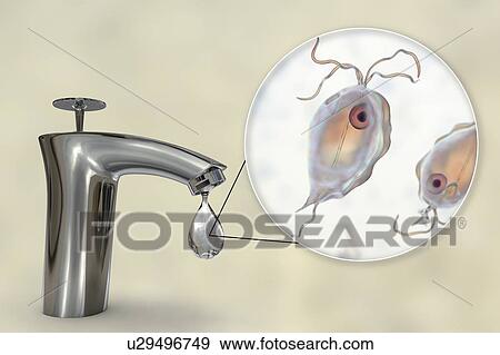 Safety of drinking water, conceptual illustration View Large Photo Image Stock Photo - Safety of drinking water, conceptual illustration. Fotosearch