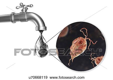 Safety of drinking water, conceptual illustration View Large Photo Image Stock Photo - Safety of drinking water, conceptual illustration. Fotosearch