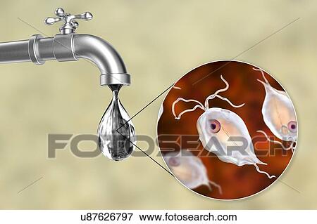 Stock Photo - Safety of drinking water, conceptual illustration. Fotosearch
