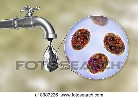 Stock Photograph - Safety of drinking water, conceptual illustration. Fotosearch