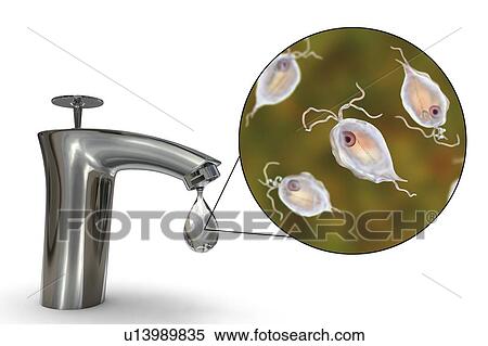 Stock Photography - Safety of drinking water, conceptual illustration. Fotosearch