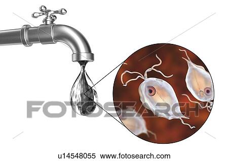 Safety of drinking water, conceptual illustration View Large Photo Image Stock Photography - Safety of drinking water, conceptual illustration. Fotosearch