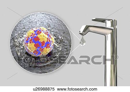 Stock Photography - Safety of drinking water, conceptual illustration. Fotosearch