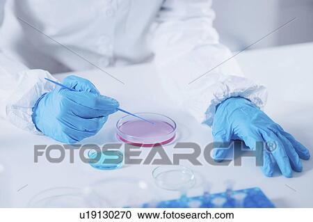 Science laboratory research View Large Photo Image Stock Image - Science laboratory research. Fotosearch