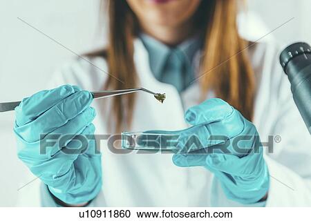 Stock Image - Scientific research. Fotosearch