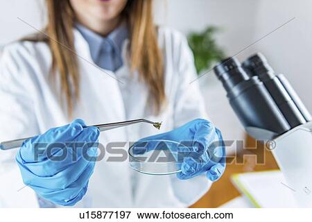 Stock Photo - Scientific research. Fotosearch