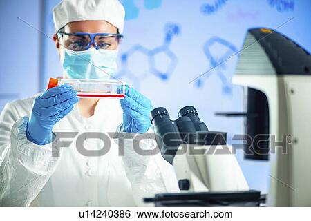 Stock Photograph - Scientific research. Fotosearch