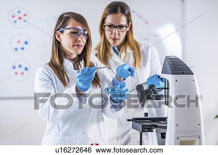 Stock Photograph - Scientific research. Fotosearch