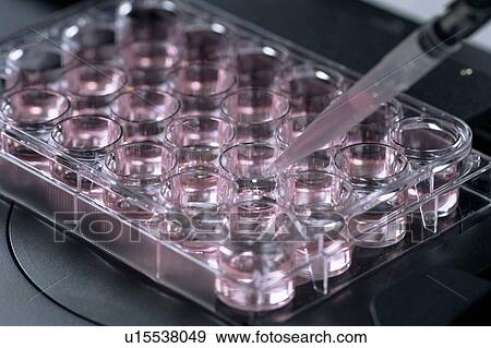 Stock Photo - Scientist pipetting sample. Fotosearch