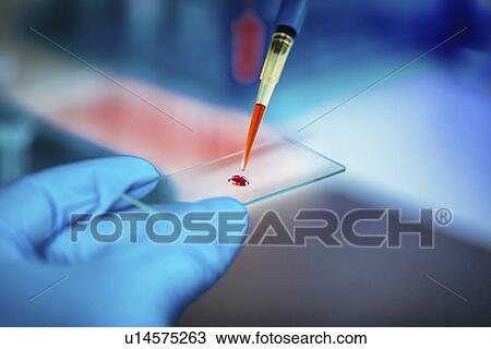 Scientist preparing microscope slide View Large Photo Image Stock Image - Scientist preparing microscope slide. Fotosearch