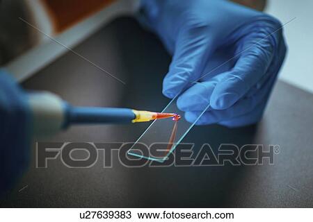 Stock Image - Scientist preparing microscope slide. Fotosearch