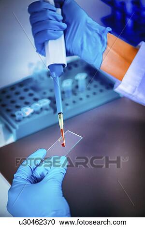 Scientist preparing microscope slide View Large Photo Image Stock Image - Scientist preparing microscope slide. Fotosearch