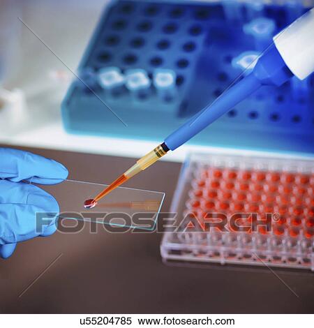 Scientist preparing microscope slide View Large Photo Image Stock Photography - Scientist preparing microscope slide. Fotosearch
