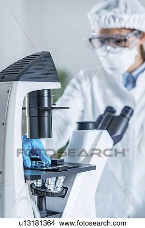 Scientist using microscope View Large Photo Image Picture - Scientist using microscope. Fotosearch
