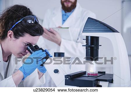 Scientist using microscope View Large Photo Image Picture - Scientist using microscope. Fotosearch