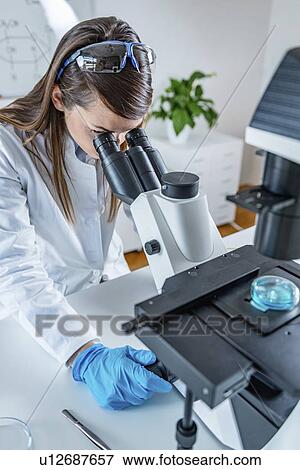 Stock Photo - Scientist using microscope. Fotosearch