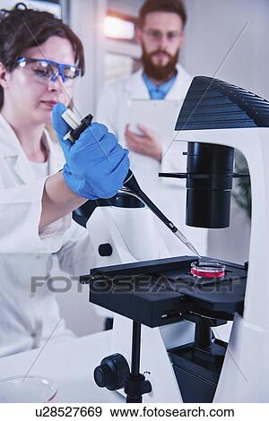 Stock Photo - Scientist using microscope. Fotosearch