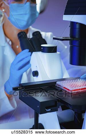 Scientist using microscope View Large Photo Image Stock Photography - Scientist using microscope. Fotosearch