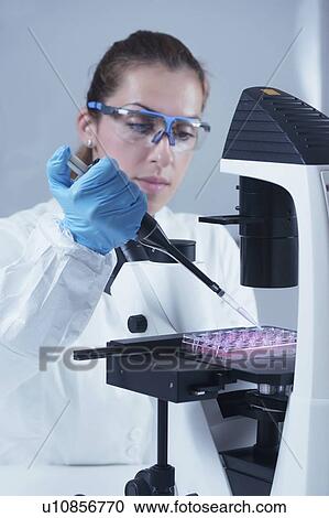 Stock Image - Scientist working with cell culture. Fotosearch