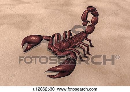 Stock Image - Scorpion, illustration. Fotosearch