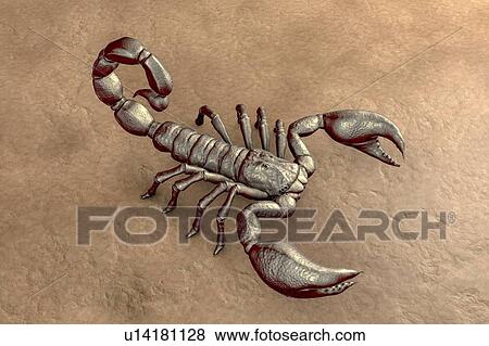 Stock Photo - Scorpion, illustration. Fotosearch