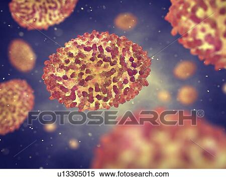 Smallpox viruses, illustration View Large Photo Image Stock Photography - Smallpox viruses, illustration. Fotosearch